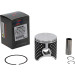 Vertex Cast Race Evolution Piston Kit 244-