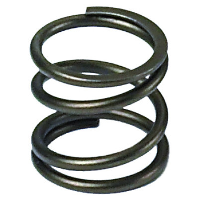 Image for Pro Circuit Governor Spring