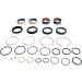 Pivot Works Fork Seal & Bushing Kit
