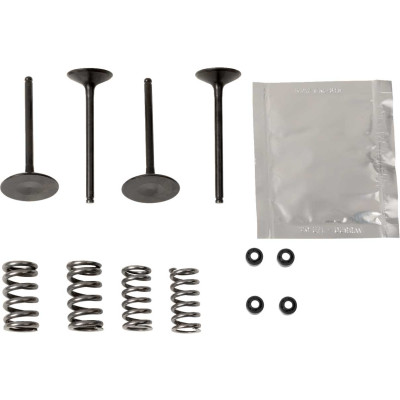 Image for Wiseco Garage Buddy Steel Valve Kit