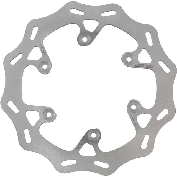 Braking Rear Race Rotor