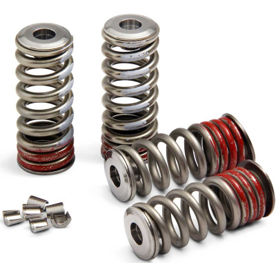 Image for Pro Circuit Valve Spring Kit