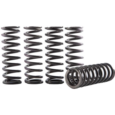 Image for Hinson Racing Hi-Temp Clutch Spring Kit