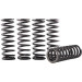 Hinson Racing Hi-Temp Clutch Spring Kit CS