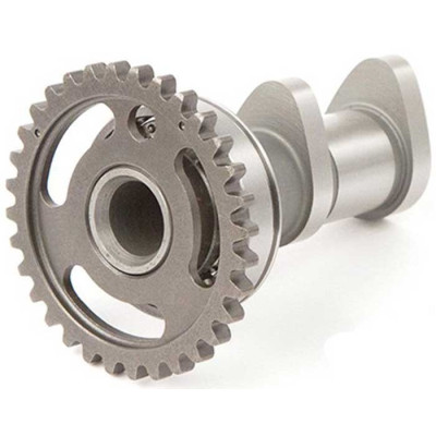 Image for Hot Cams Stage 1 Intake Camshaft